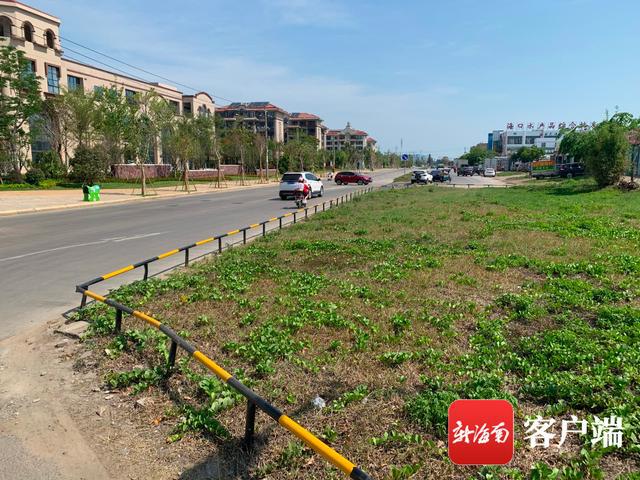 新合埠路最新動態(tài)，邁向未來的城市主干道重塑與升級