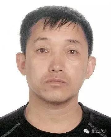 佳木斯市警方發(fā)布最新通緝令，追捕涉案人員，維護社會安定（2016年通緝令詳解）