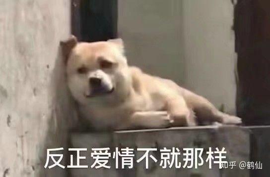 微信最新表情包含義，探索表情背后的故事與情感表達