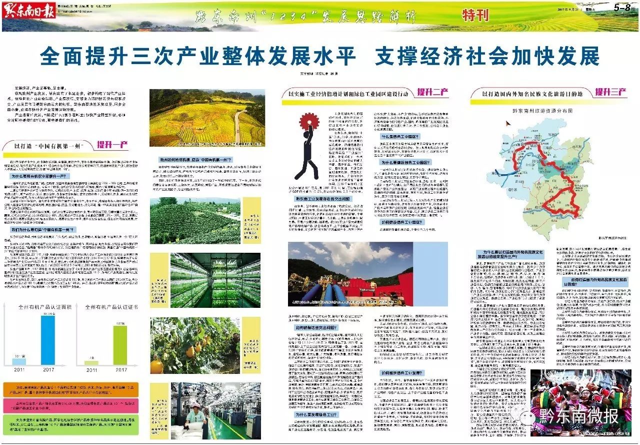 今期香港最新跑狗圖，探索與解讀