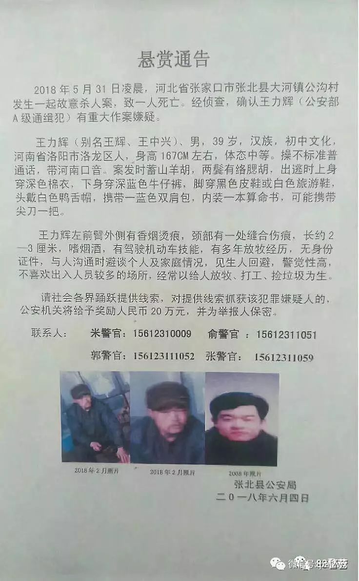 網(wǎng)上最新通緝犯名單，社會(huì)安全的警鐘長(zhǎng)鳴