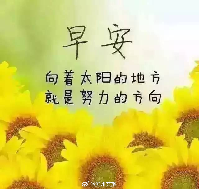 說(shuō)說(shuō)早安，迎接全新的一天，擁抱美好的人生