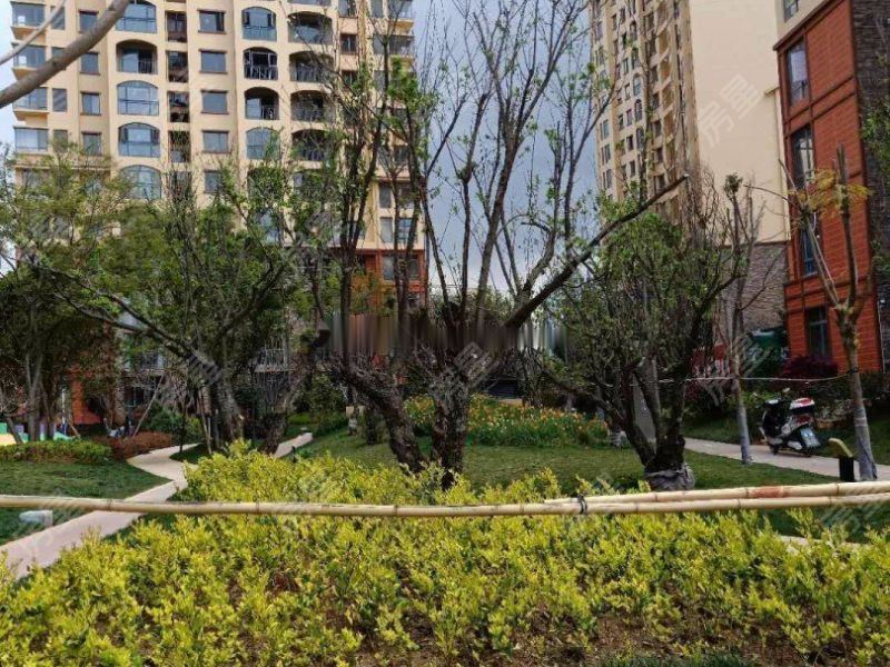 昆明紫香園最新動(dòng)態(tài)，揭開這座園林新篇章的奧秘