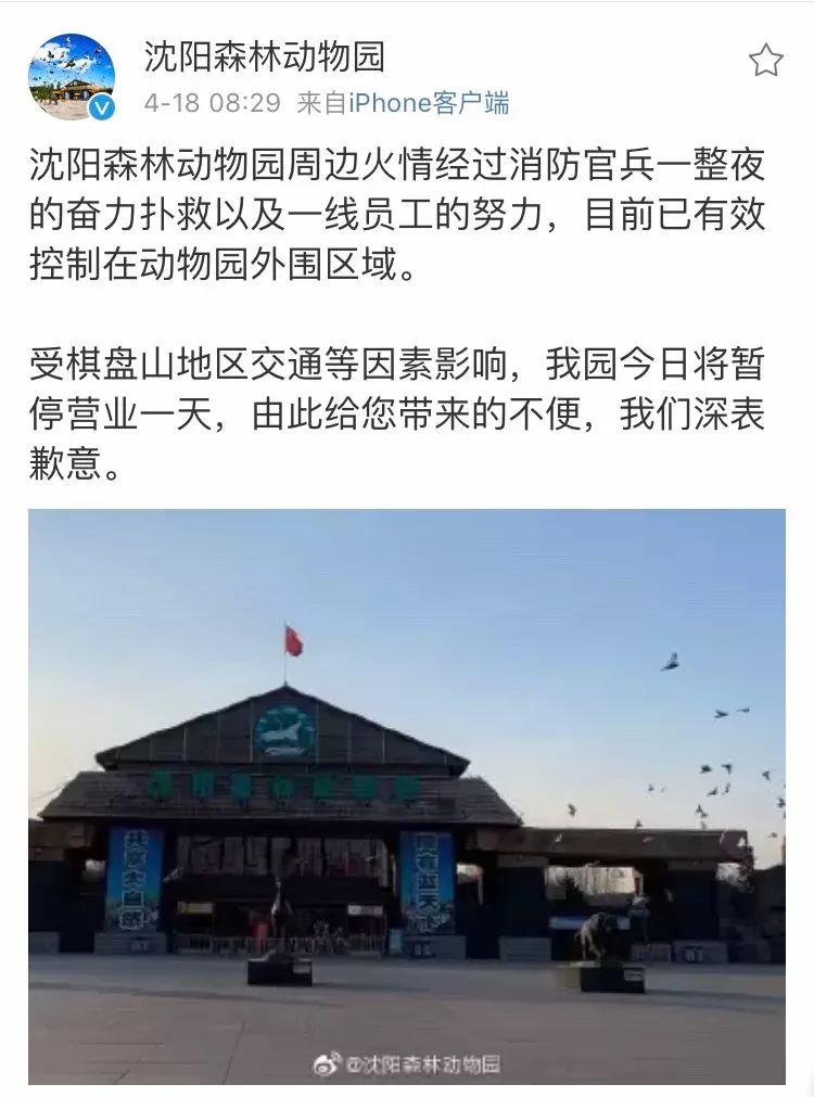 今天沈陽(yáng)火災(zāi)最新消息