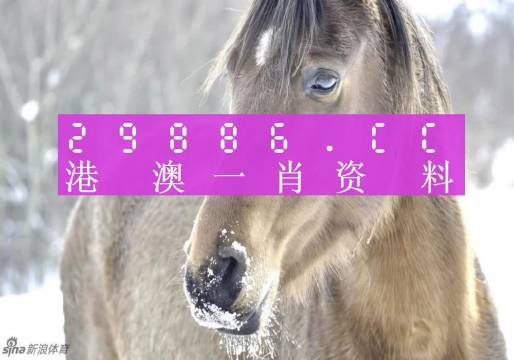 澳門(mén)一肖一碼100準(zhǔn)免費(fèi)，揭示背后的真相與風(fēng)險(xiǎn)