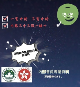 澳門一肖一碼，揭秘所謂的精準王中王背后的真相與需求釋義解釋落實的重要性