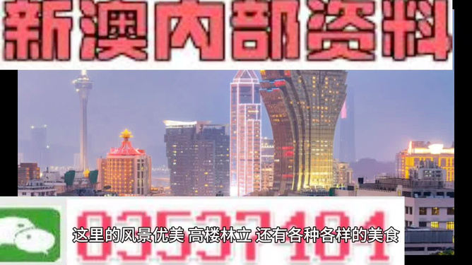 新澳門(mén)精準(zhǔn)資料大全，龍門(mén)資料最新解讀與實(shí)際應(yīng)用