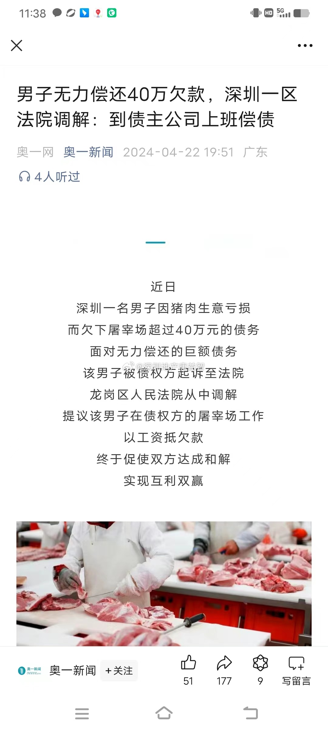 一肖一碼一一肖一子在深圳，瞬時釋義、解釋與落實