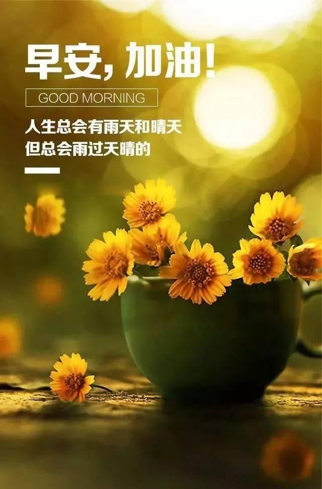 最新早安勵志語錄帶圖，開啟充滿活力的每一天